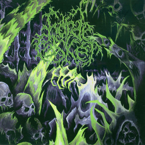 Horde Casket - Landscape Of Cadavers (CD)