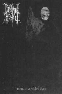 Ordinul Negru - Ordinul Negru