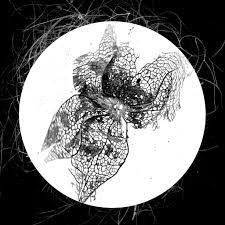 Tengri - Kontinuum (LP)
