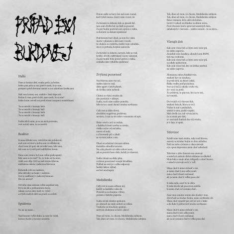 Prípad Ewi Burdovej