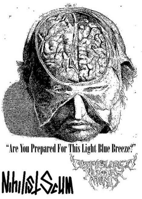 Disfigured Human Mind / Nihilist Scum - Are You Prepared For This Light Blue Breeze? (MC)