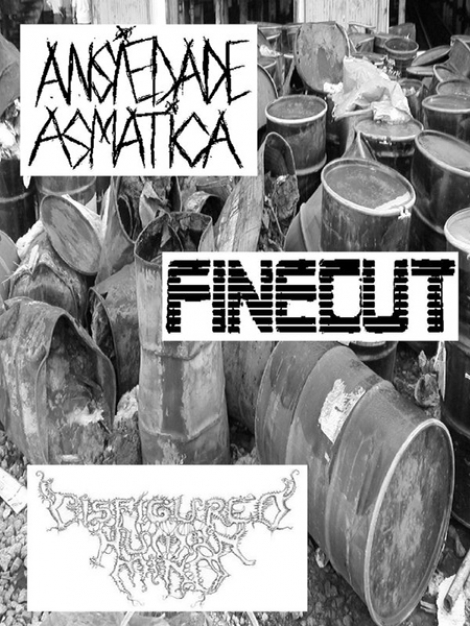 Disfigured Human Mind / Ansiedade Asmática / Finecut - Tudo Lixo Corrosivo Proveniente De Portugal (MC)