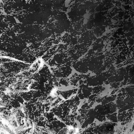 Wayd - Reinvent (CD)